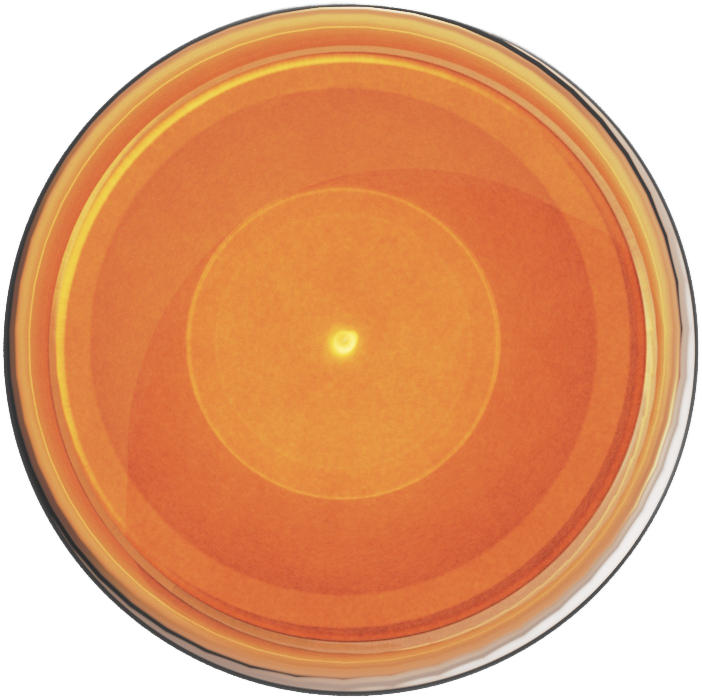 Ultracryl Metal Copper