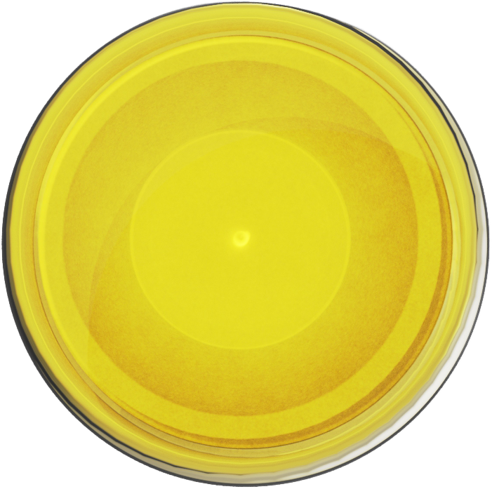 Ultracryl Metal Gold