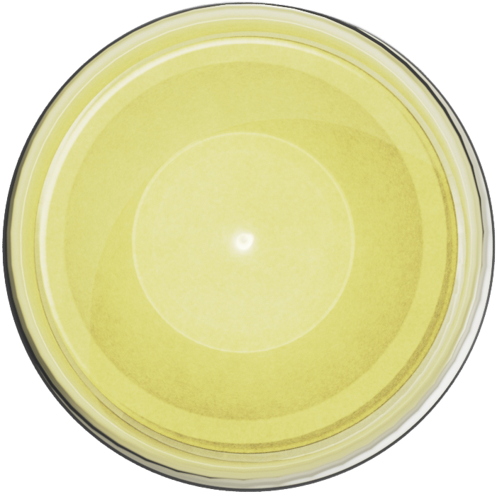 [704] Ultracryl Metal Bright Gold